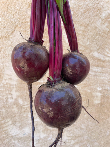 Beetroot